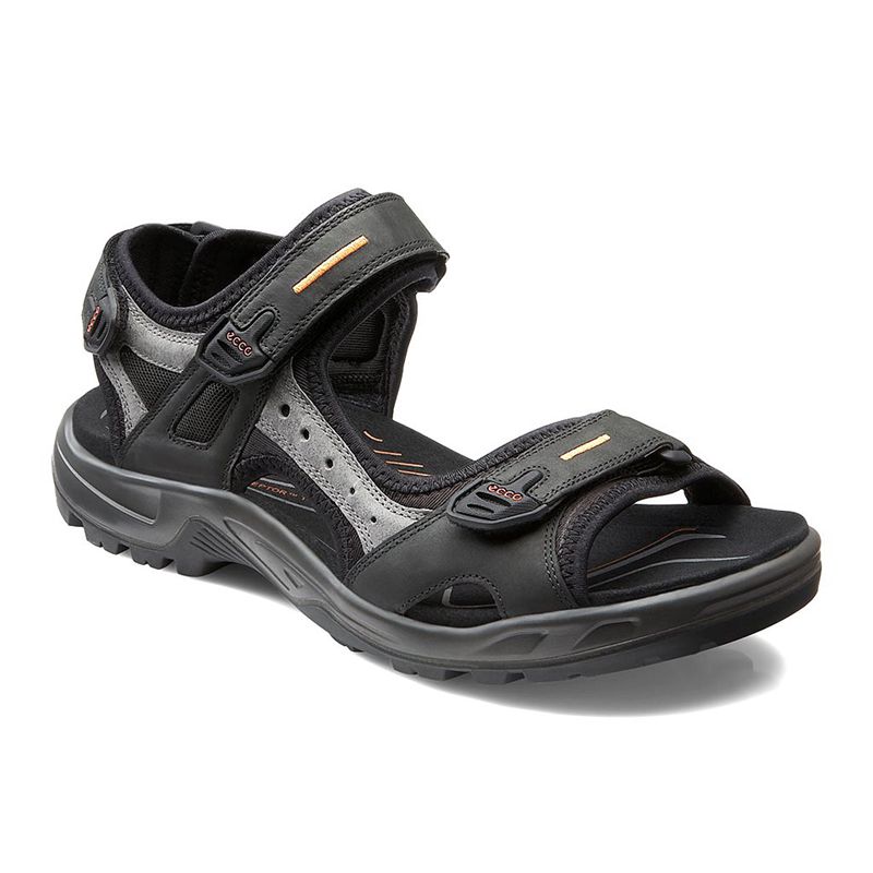 Men Ecco Offroad - Sandals Black - India ASJQDT921